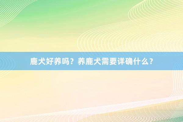 鹿犬好养吗?养鹿犬需要详确什么?