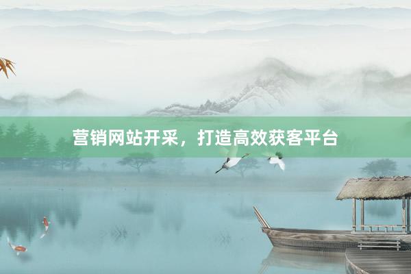 营销网站开采，打造高效获客平台